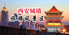 大鸡巴艹网站中国陕西-西安城墙旅游风景区